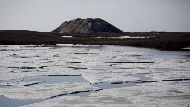 La glace morcelée à la surface de l'eau.