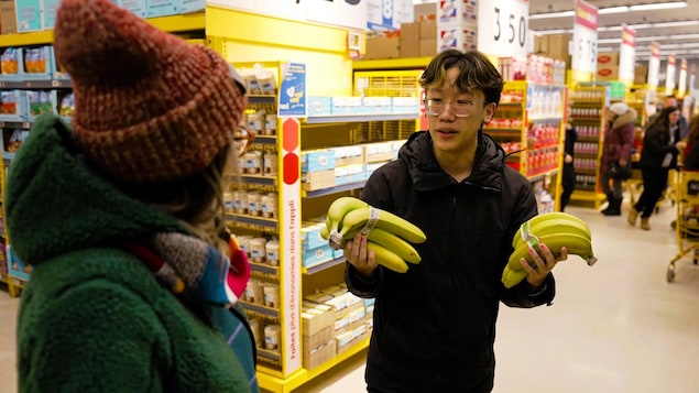Un adolescent tient des bananes dans les allées d'une épicerie Maxi.