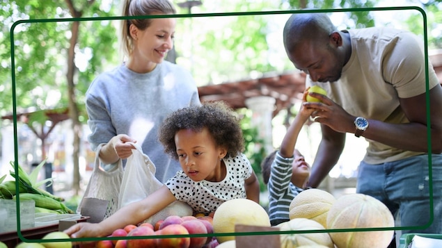 Une famille composée de deux enfants et deux parents achète des fruits au marché. 