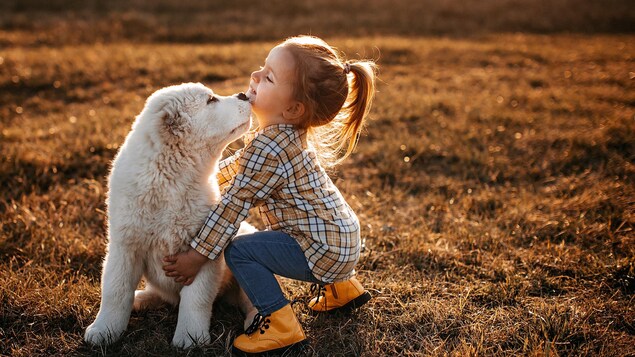 Une petite fille câline son chien dans un parc au printemps