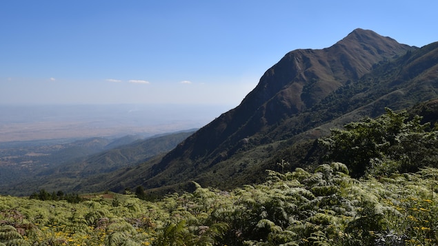 La région du bassin du rift Rukwa.