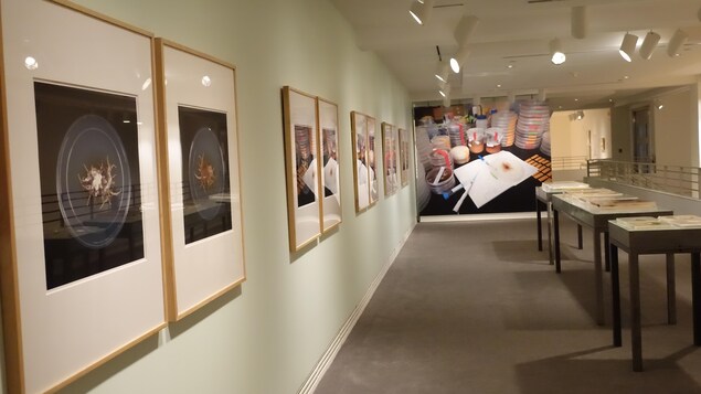 Salle d'exposition avec des photos de boîte de Petri au mur et un agrandissement d'une photo de pile de boîte de Petri.