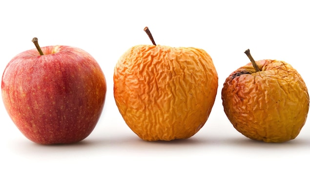 L'évolution de maturation d'une pomme : de fraîche à pourrie. 