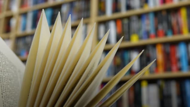 Les organisateurs du Prix littéraire Damase-Potvin vont étudier un changement de nom