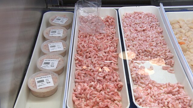 Crevettes dans un comptoir de vente Crevettes dans un comptoir de vente