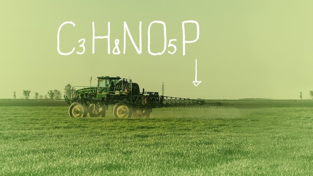 Un épandage de glyphosate dans un champ.