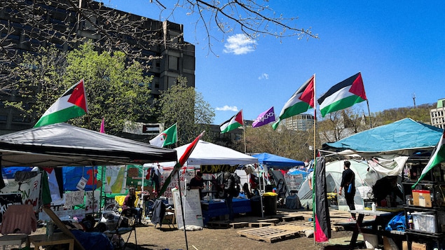 Des tentes et des drapeaux palestiniens par une journée ensoleillée.