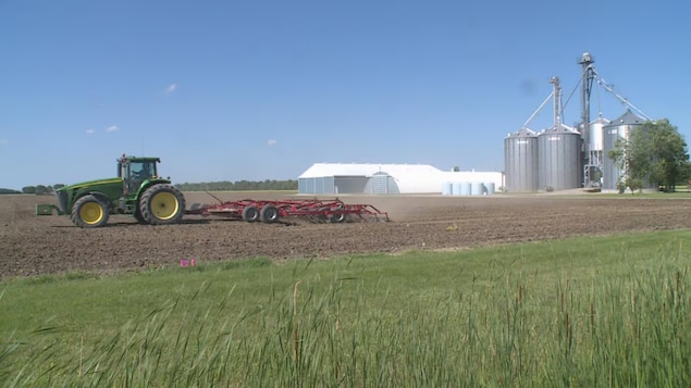 Un tracteur travaille un champ dans le comté d'Essex, en Ontario, avec des silos et bâtiments agricoles en arrière-plan. 