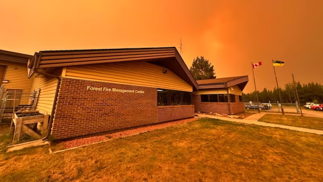 Un paysage aux teintes orangées en raison d’un incendie de forêt.

