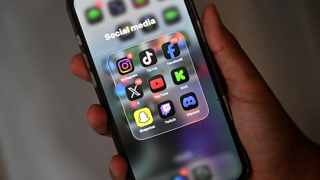 Francoska vlada napovedala prepoved družbenih omrežij za mlajše od 15 let