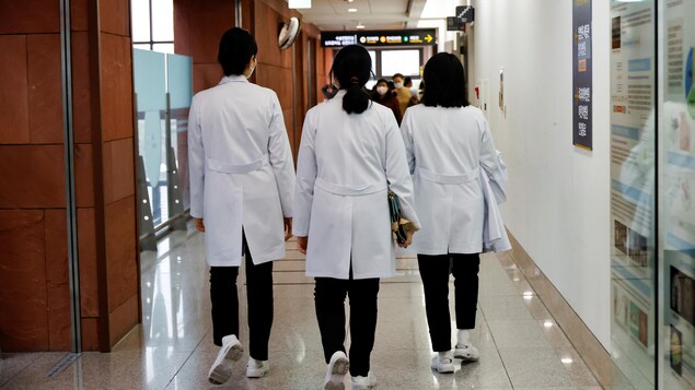 Trois femmes médecins de dos
