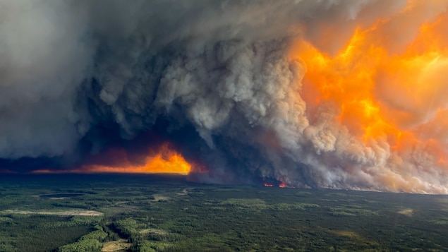 Una columna de humo se eleva sobre un bosque en llamas.