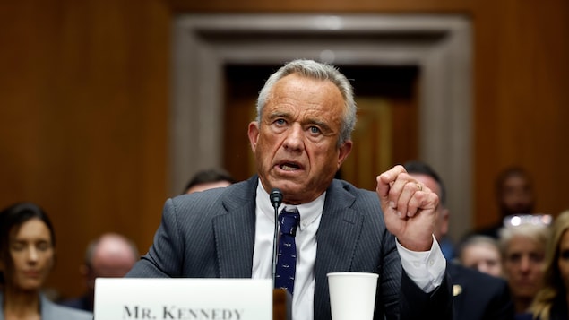 Robert F. Kennedy Jr. during Senate hearings.