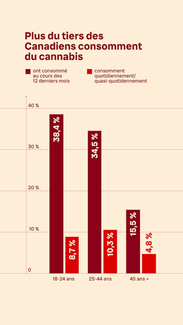 En 2023, plus du tiers des adultes âgés de 18 à 24 ans (38,4 %) ou de 25 à 44 ans (34,5 %) ont déclaré avoir consommé du cannabis au cours des 12 mois précédents, comparativement à 15,5 % des adultes âgés de 45 ans et plus.
