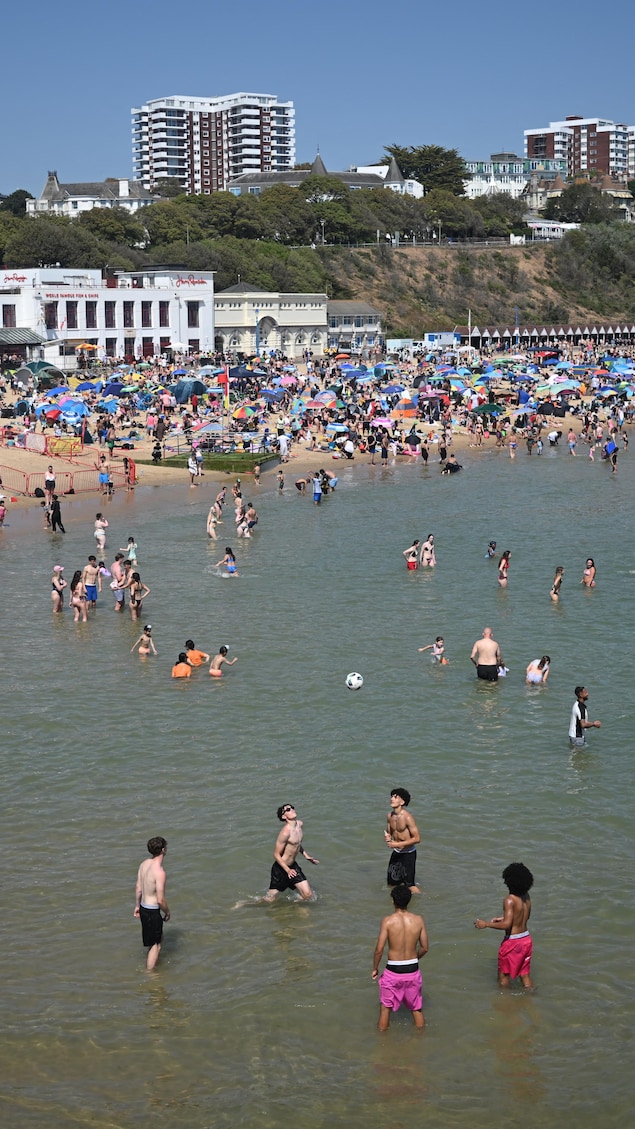 Une foule sur une plage et dans l'eau.