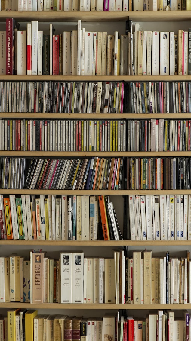 Books in a bookstore. ai can train books without