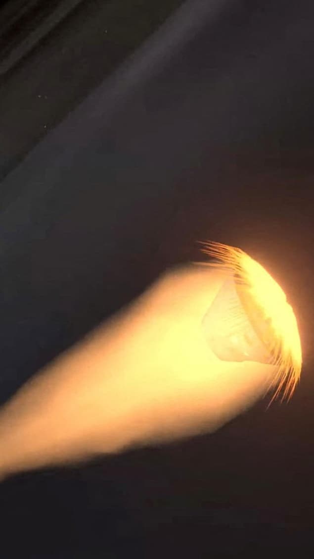 Représentation de l'entrée dans l'atmosphère de la capsule Orion.
