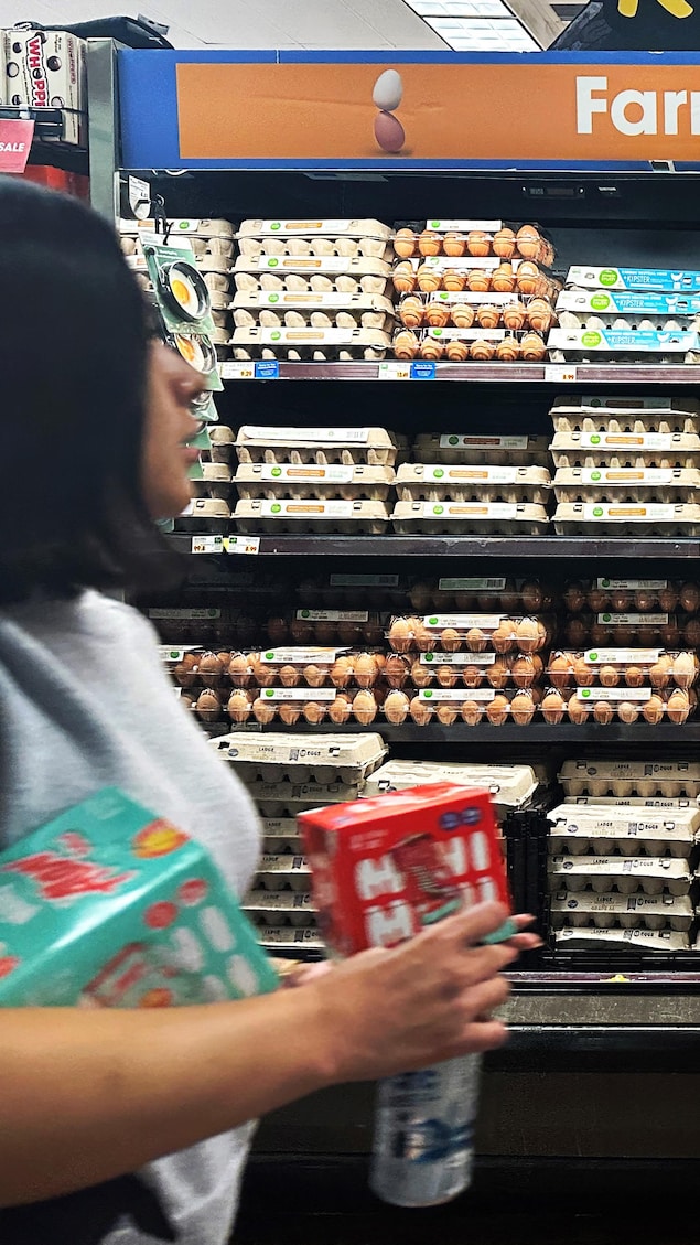 Prix Moyen Des Oeufs