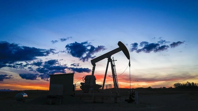 A pumpjack draws out oil from a well head near Calgary in 2022.
