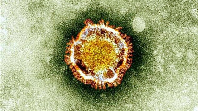 A new case of COVID-19 in Gaspésie, this Saturday |  Coronavirus