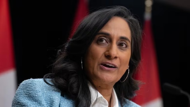 Treasury Board President Anita Anand launched consultations Monday on a new public service strategy for artificial intelligence. 