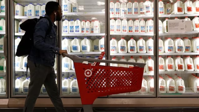 A shopper walks past the milk and dairy display case at a Target store in Manhattan. Canadian Food Inspection Agency laboratories have tested 142 retail milk samples from across Canada to spot any traces of bird flu, amid an outbreak of H5N1 in the U.S., officials say. 