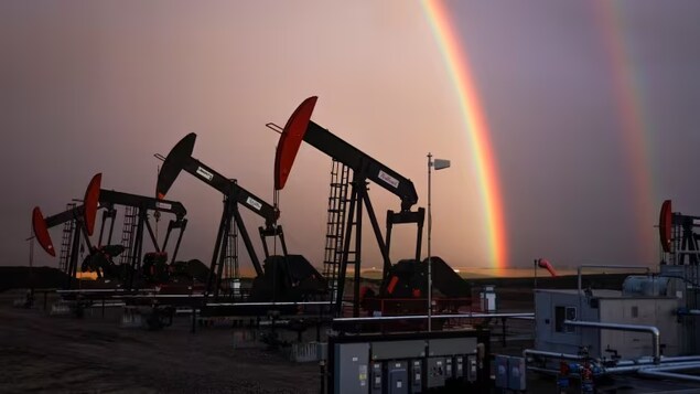 Despite climate pledges, Canada and other fossil fuel producers set to scale up production: report - Vimarsana News