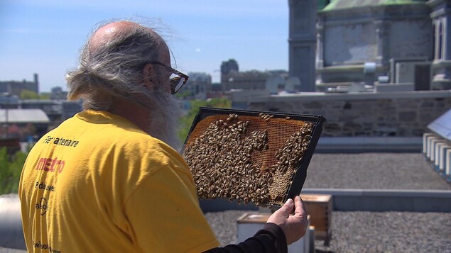 Un homme avec des abeilles
