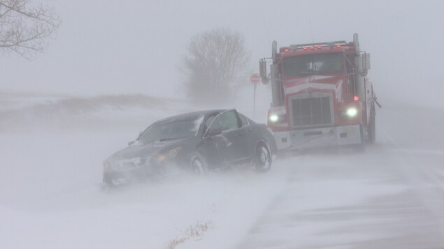 Winter storm in Saskatchewan: 10 to 15 cm of snow expected in the southwest