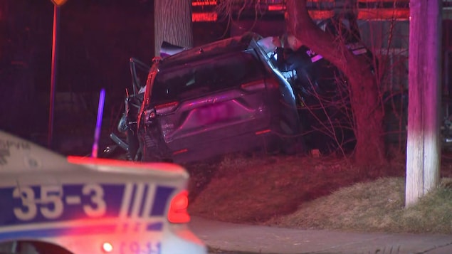 Deux policiers sont à côté d'une voiture écrasée contre un arbre.