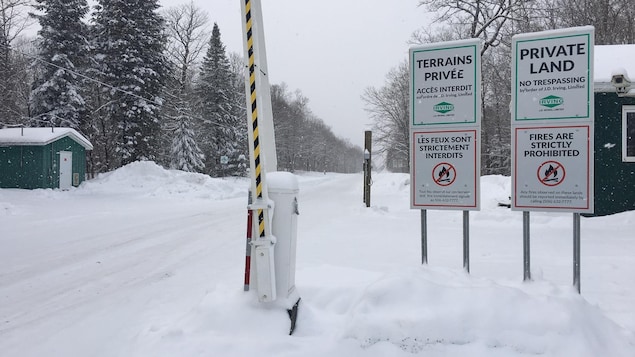 Enquête du coroner sur la mort d’un camionneur sur une terre de J. D. Irving