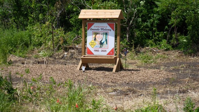 Une affiche avec le visage d'Amanda Maloney au bord de la route.