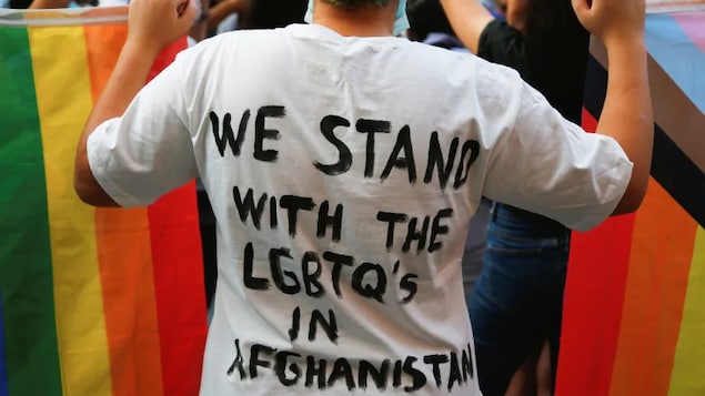 Refugee group partners with Ottawa to bring hundreds of LGBTQ Afghans to Canada - Vimarsana News
