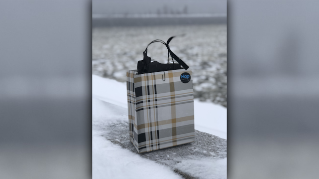 Un sac au bord d'un lac.