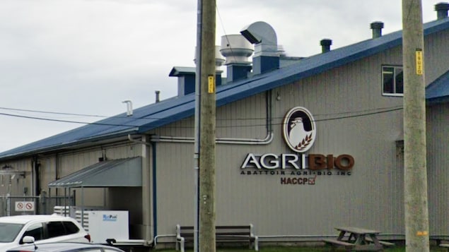La fermeture d’un abattoir à Saint-Agapit menace des dizaines d’emplois