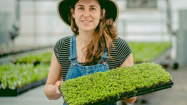 Une excellente saison pour des entreprises maraîchères en démarrage