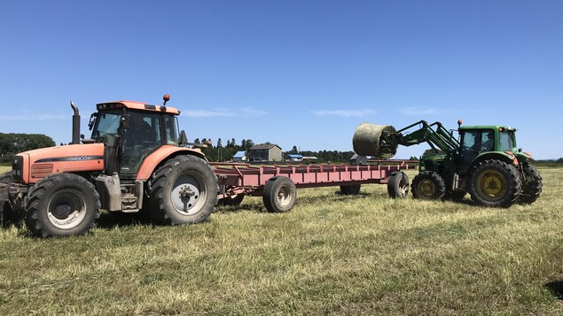 De la machinerie agricole ramasse des ballots de foin.