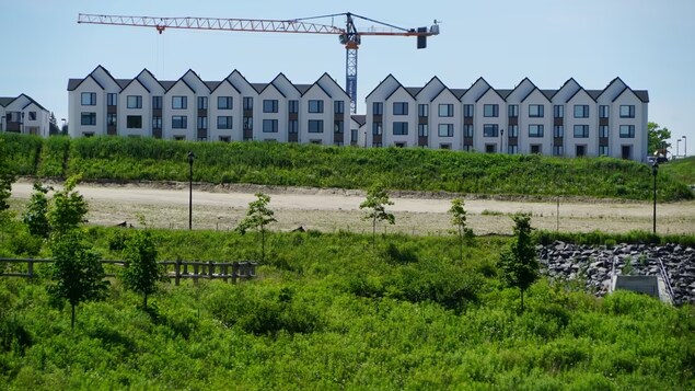 Des agriculteurs ontariens craignent les effets d’un projet de loi sur le logement
