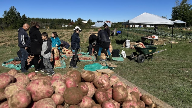 Première fête des Grandes Récoltes en Matanie