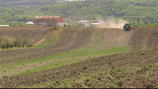 terre agricole terre agricole
