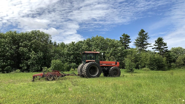 L’Ontario perd des terres agricoles à un rythme effréné à cause de l’étalement urbain