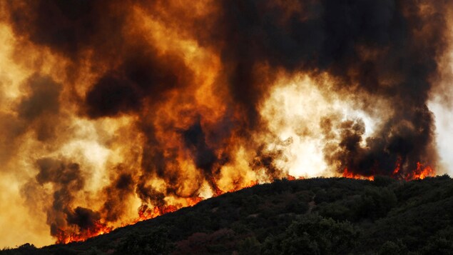 Un incendie avance sur une colline et s'apprête à ravager de nouveaux hectares de forêt