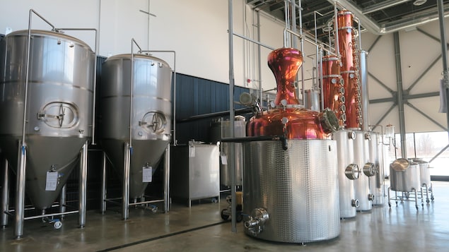Des alambics destinés à la production de gin et de vodka. 
