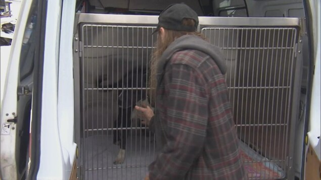 Un homme avec une longue barbe flatte un chien noir et blanc qui est dans une cage.