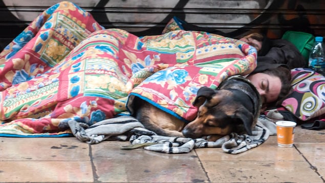 Un sans-abri, une fille et un chien couverts de couvertures dormant dans la rue sous la pluie.