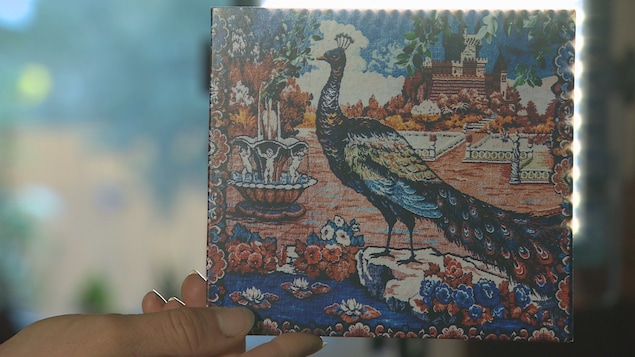 La couverture de l'album montre un paon dans un jardin coloré. La couverture de l'album montre un paon dans un jardin coloré.