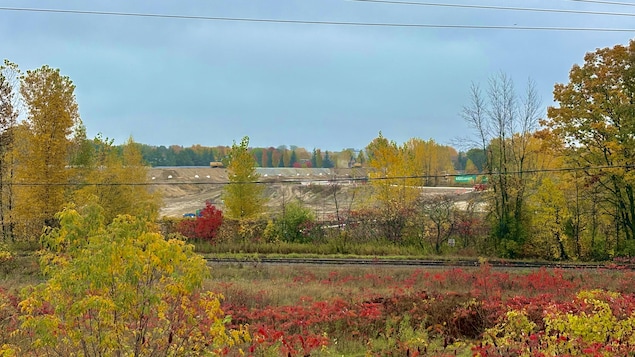 Un chantier de décontamination en automne.