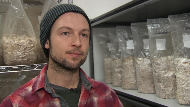 Alexandre Veillette est dans le laboratoire de La Pleurotière. Des sacs de grains d'avoine sont en voie d'être colonisés par le Mycélium.
