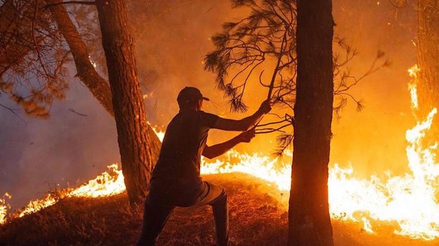 Un homme tente de limiter les dégâts d'un incendie avec une branche d'arbre.