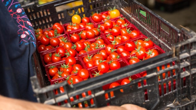 La Montérégie veut renforcer l’accès de ses organismes à des aliments locaux et sains 